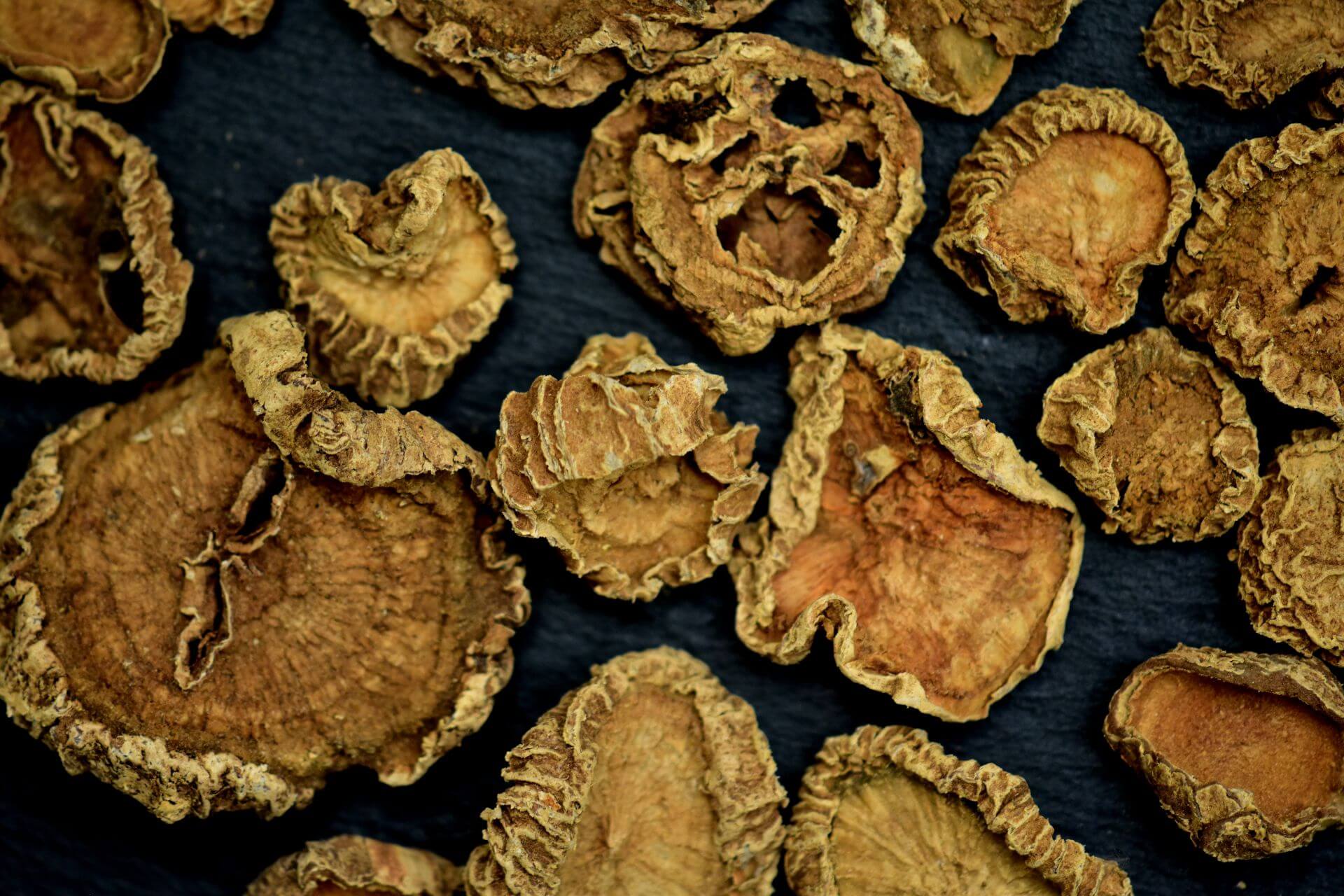 IFF_HS_Our-Products_Ingredients_Devils-Claw_Devils-Root_1