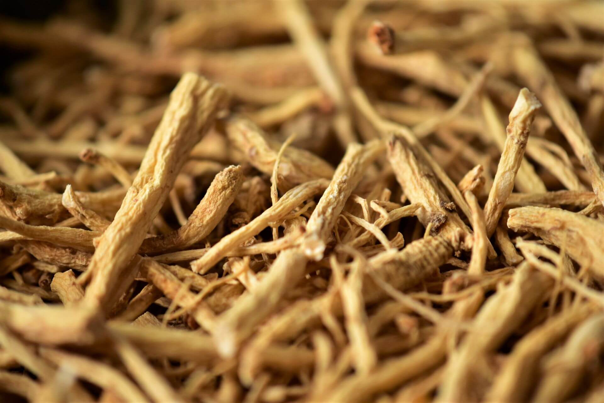 IFF_HS_Our-Products_Ingredients_Ginseng_1