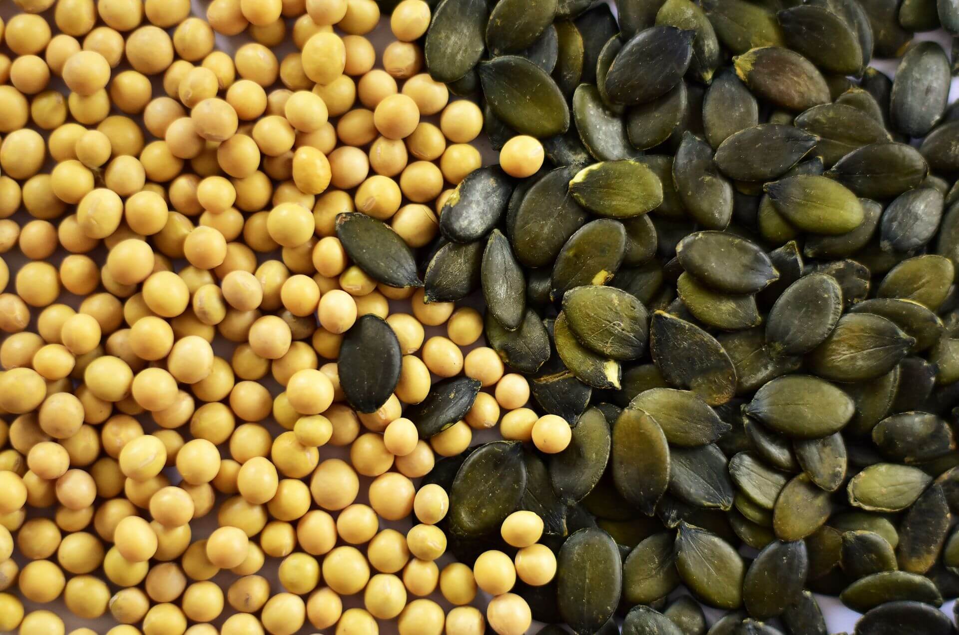 IFF_HS_Our-Products_Ingredients_Go-Less-Soy-Pumpkin-Seed_1