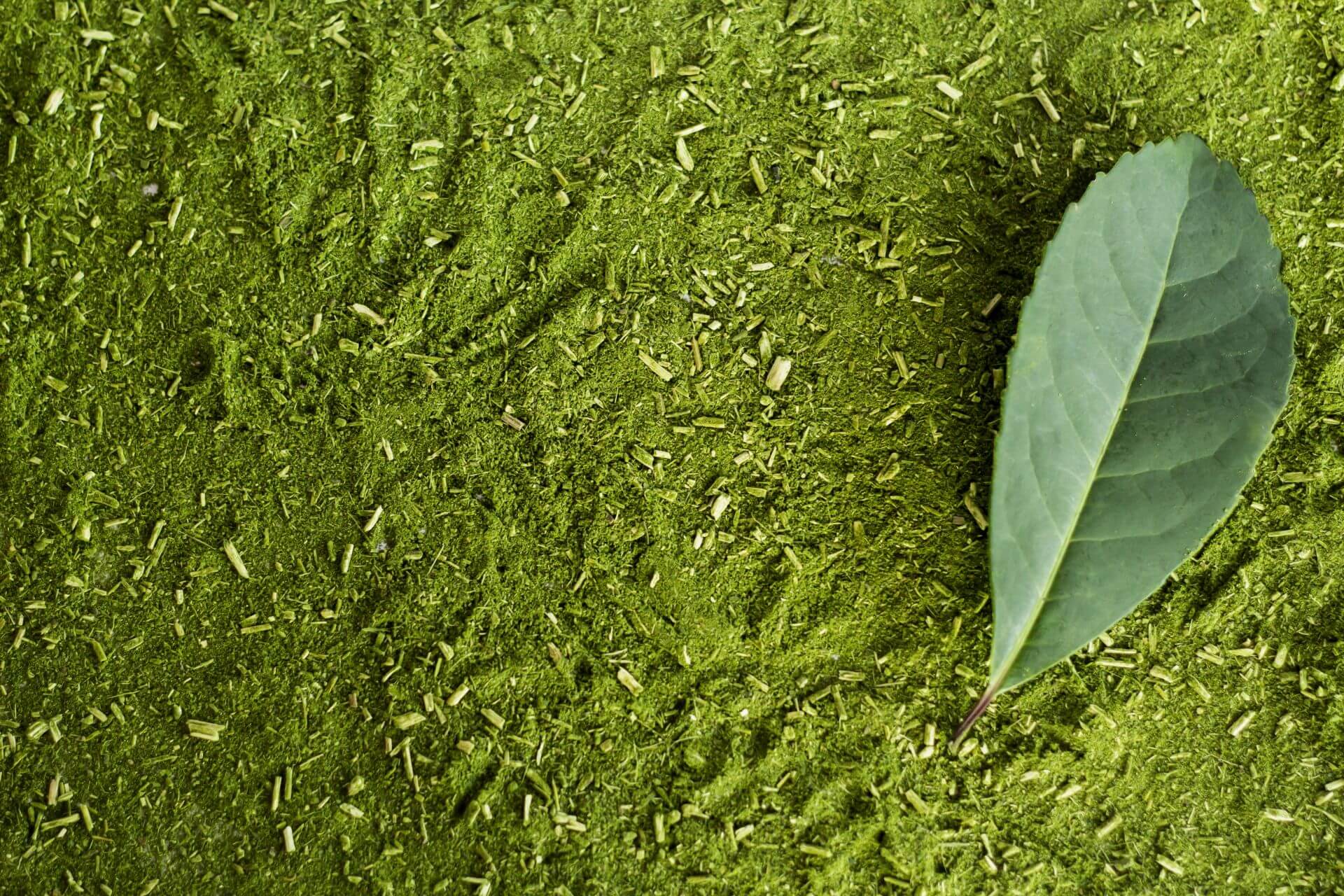 Herb background for mate and yerba mate leaves