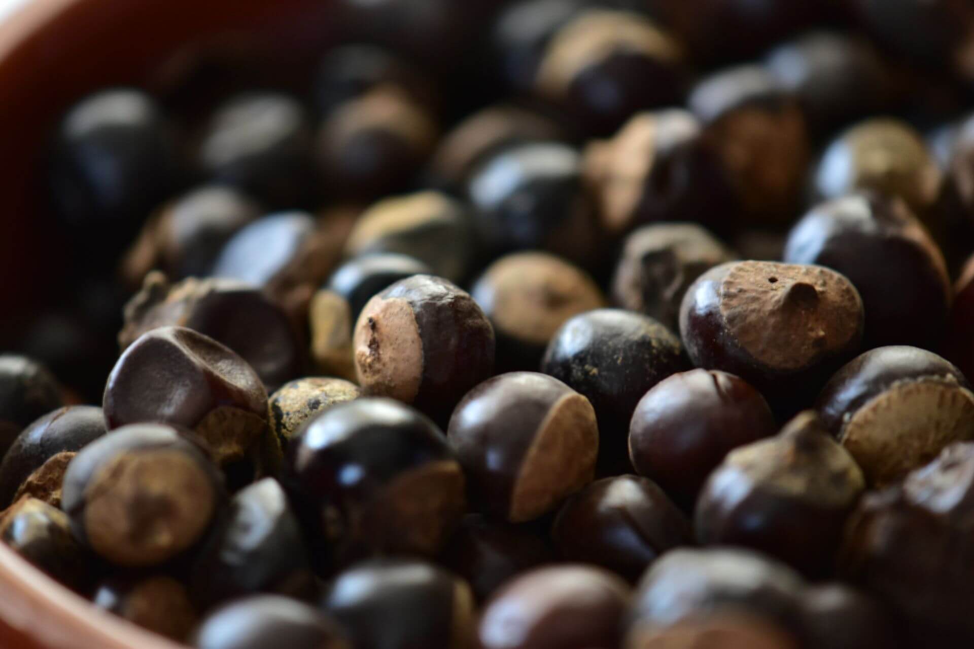 IFF_HS_Our-Products_Ingredients_Guarana_1