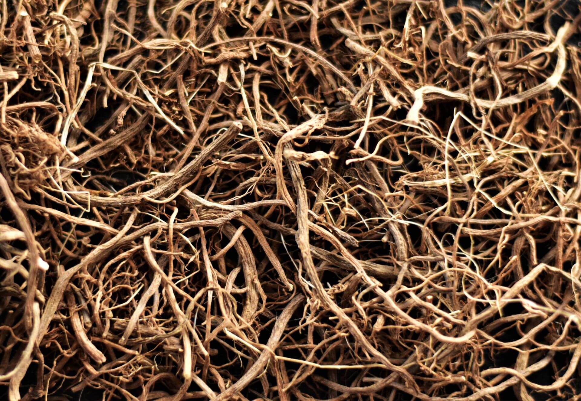 IFF_HS_Our-Products_Ingredients_Valerian_1