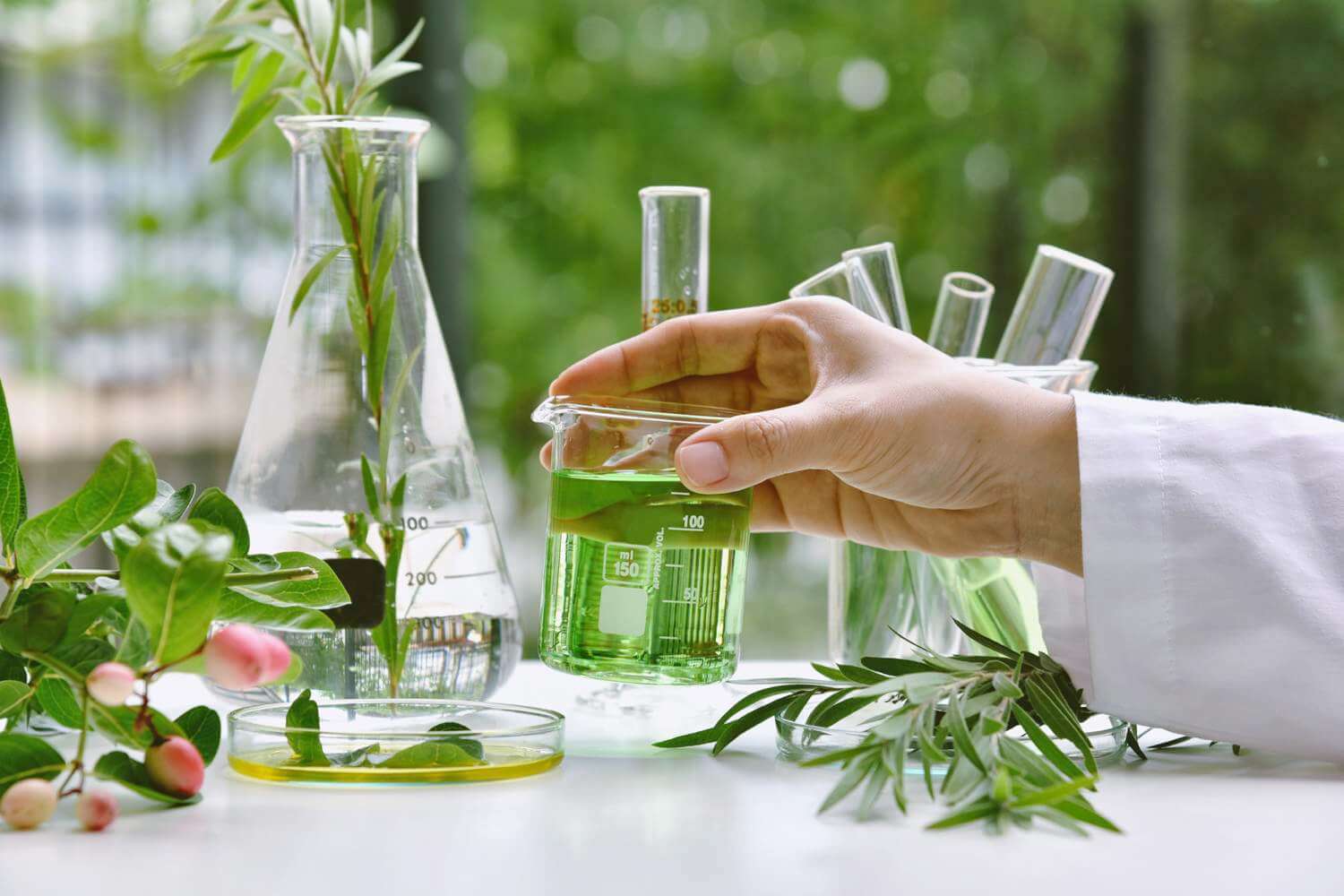Antioxidants Plant extracts