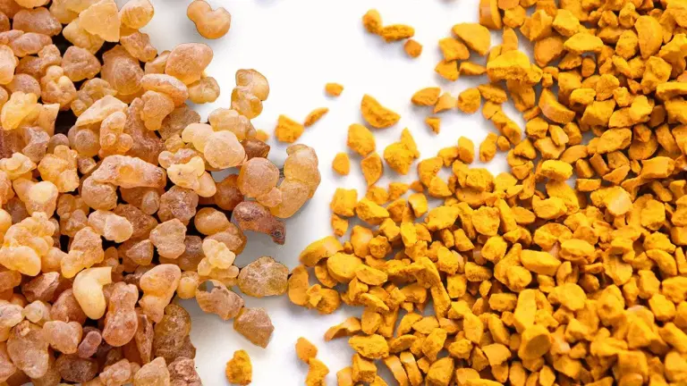 csm_Ingredients_NovaSOL_Banner_e31179517f_d6a09df96bd173b6283ff803fa41fe46.jpg