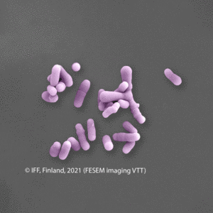 IFF_HN019