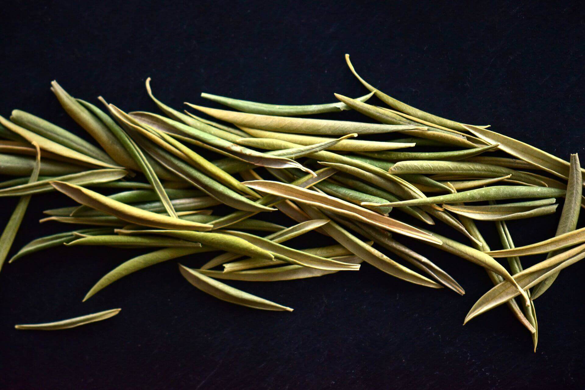 IFF_HS_Our-Products_Ingredients_Benolea-Olive-Leaf_1