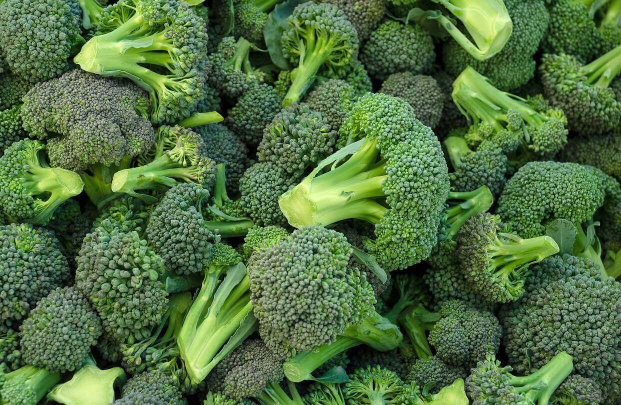 IFF_HS_Our-Products_Ingredients_Broccoraphanin-Broccoli