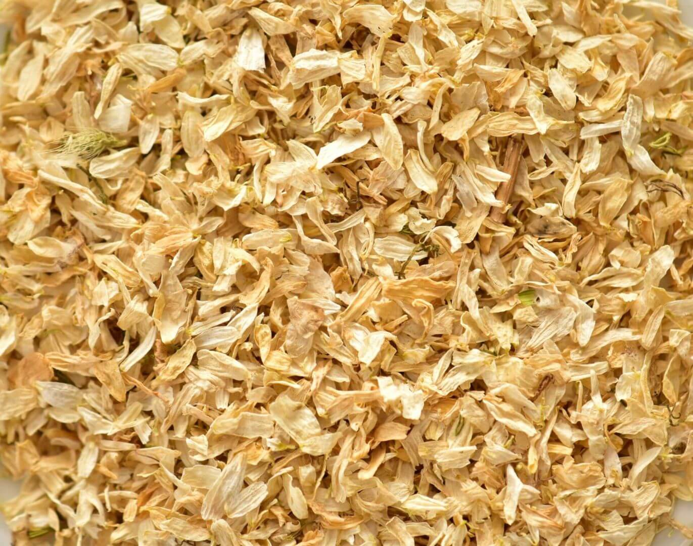IFF_HS_Our-Products_Ingredients_Chamomile_1