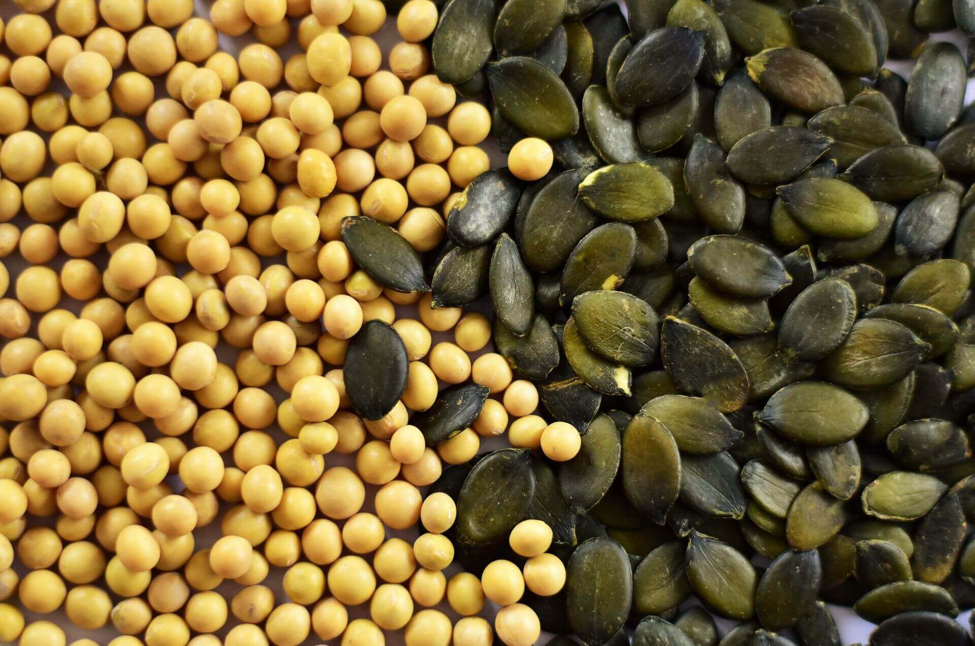 IFF_HS_Our-Products_Ingredients_Go-Less-Soy-Pumpkin-Seed_1