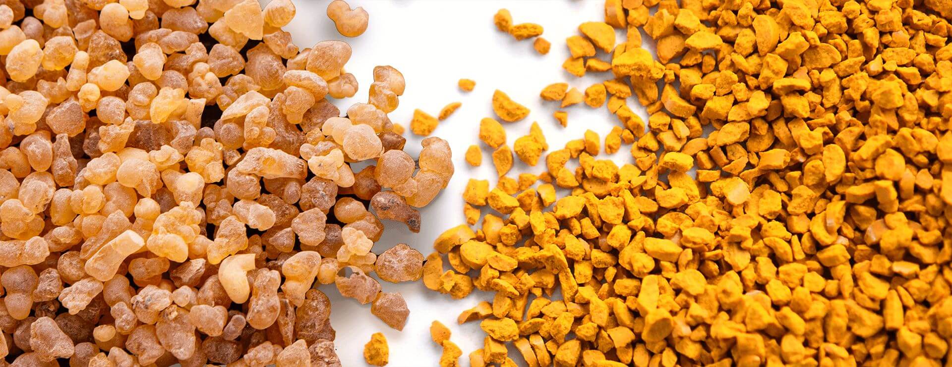 IFF_HS_Our-Products_Ingredients_NovaSol-Curcumin-Boswellia