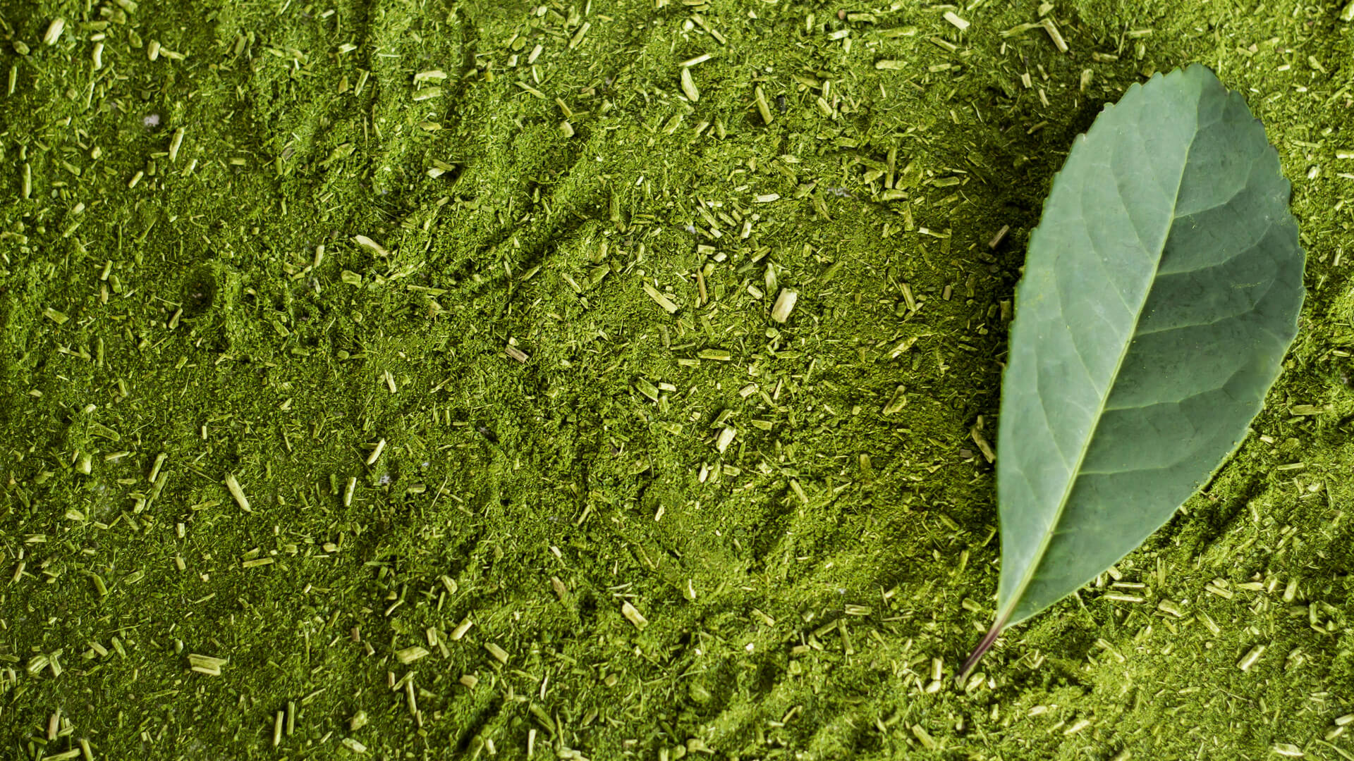 IFF_Ingredients_Green-Mate_Banner