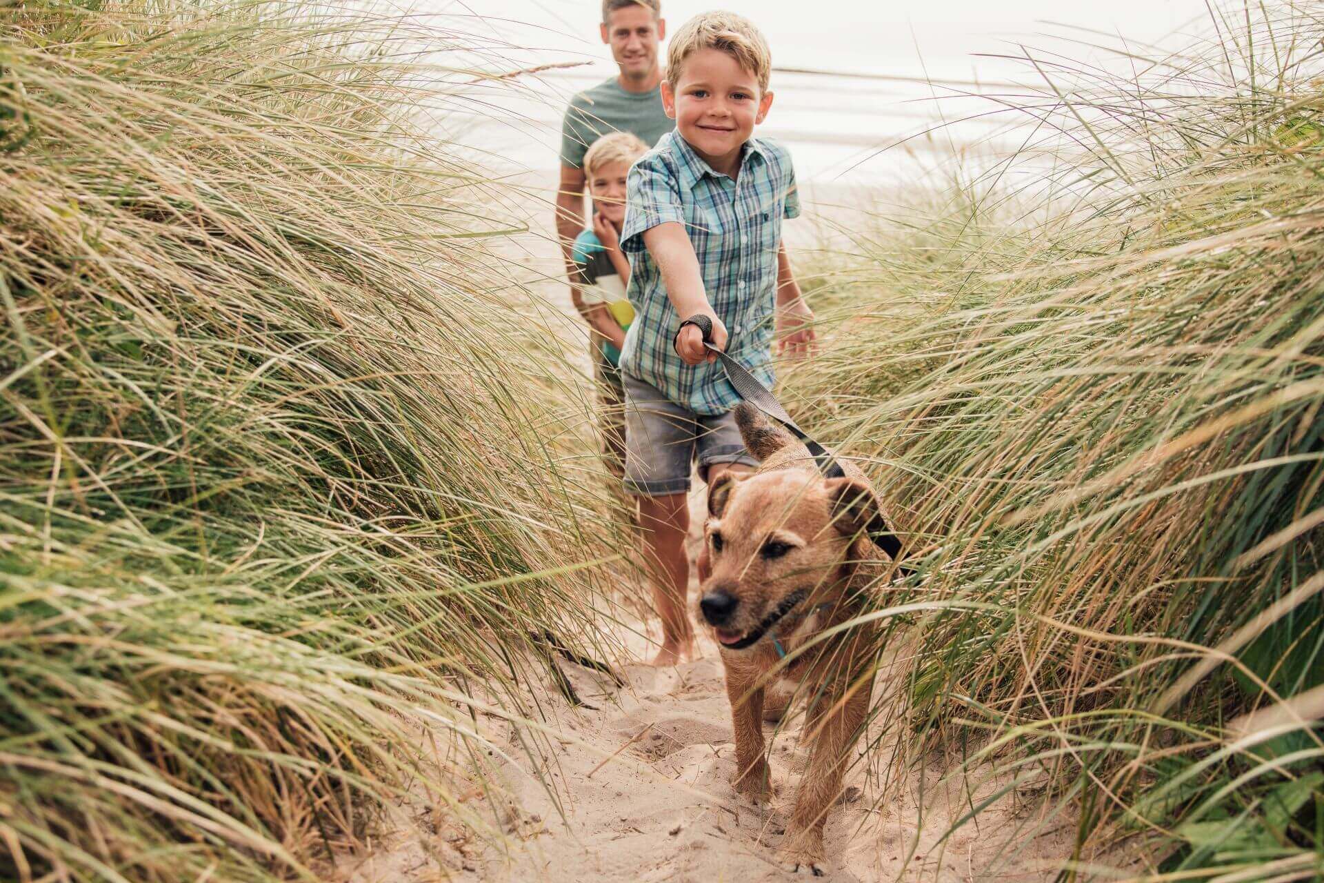 IFF_Pet-Health_Additional-Insights_Supplements_Image