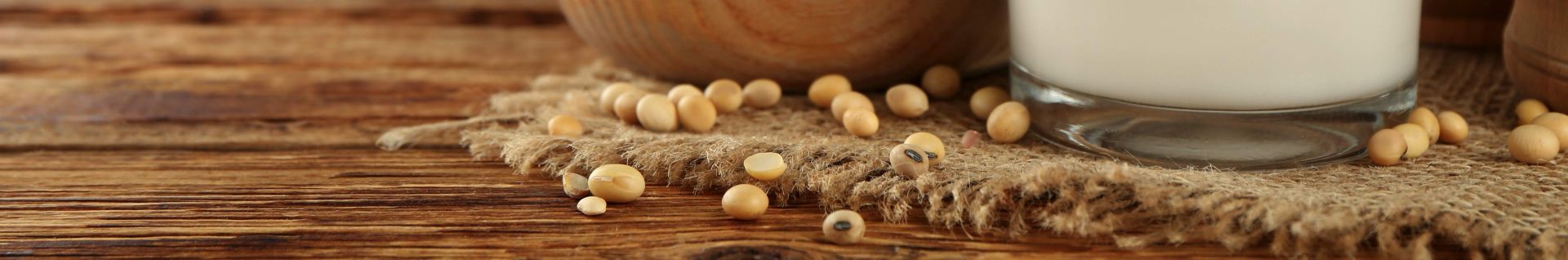 Soy protein alternatives