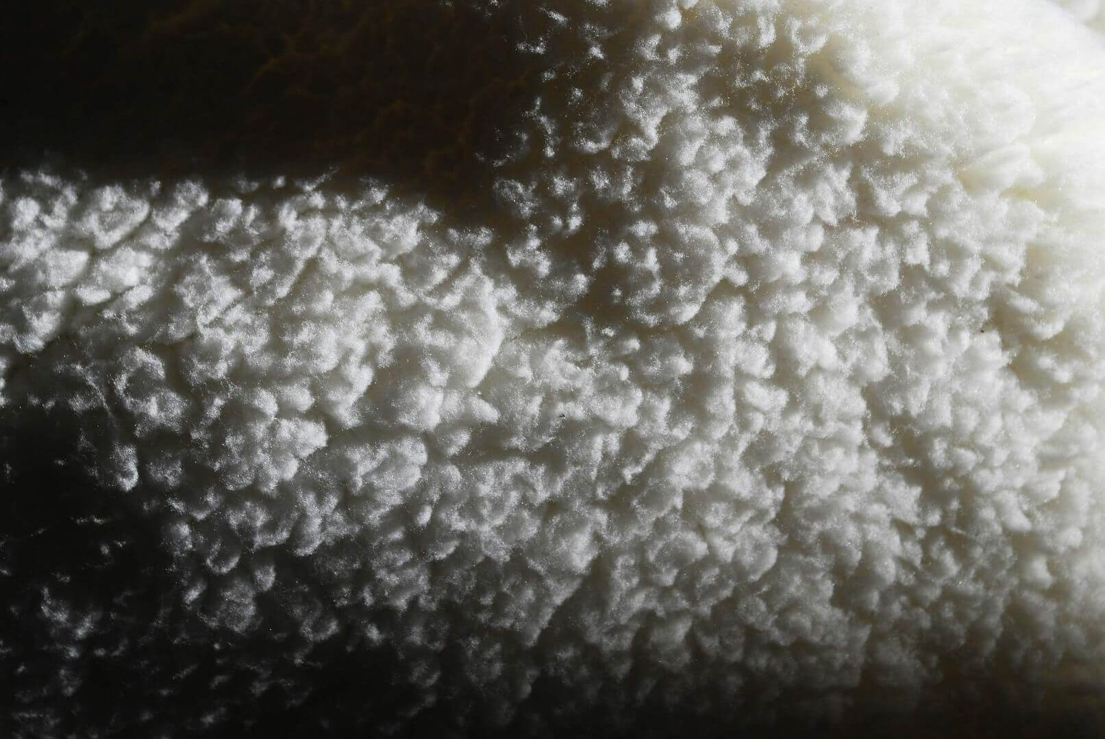 Carboxymethylcellulose (Cellulose Gum)