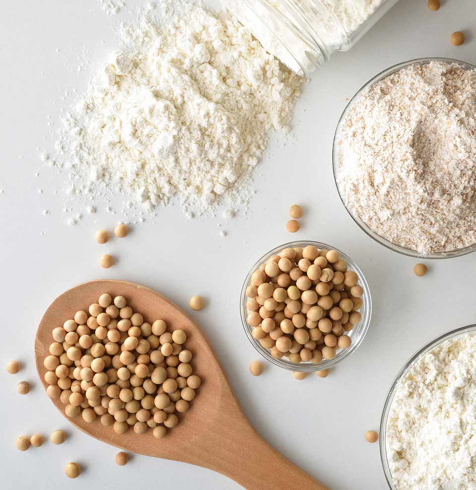 soy protein beans and powders