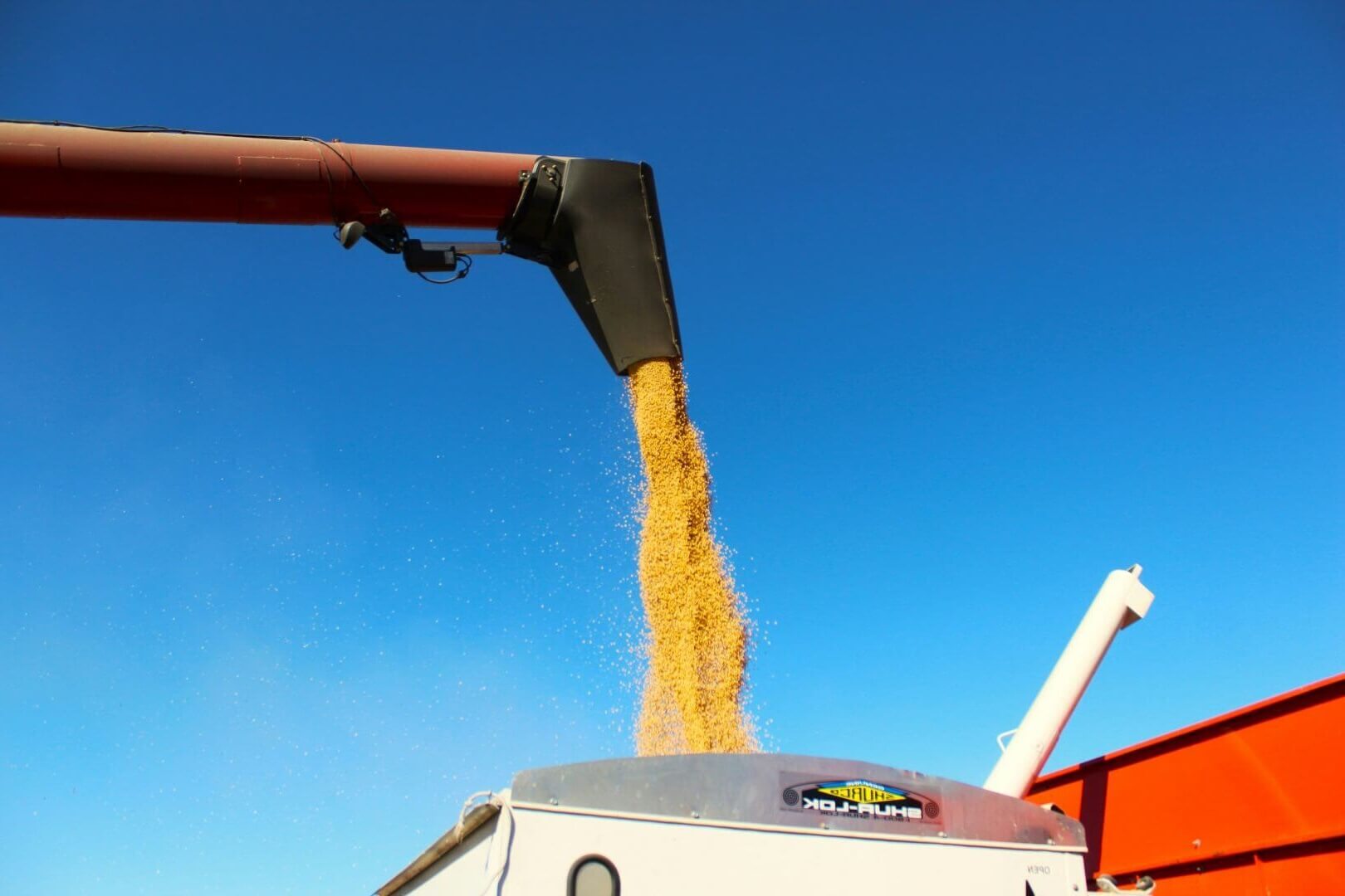 Soybean-production