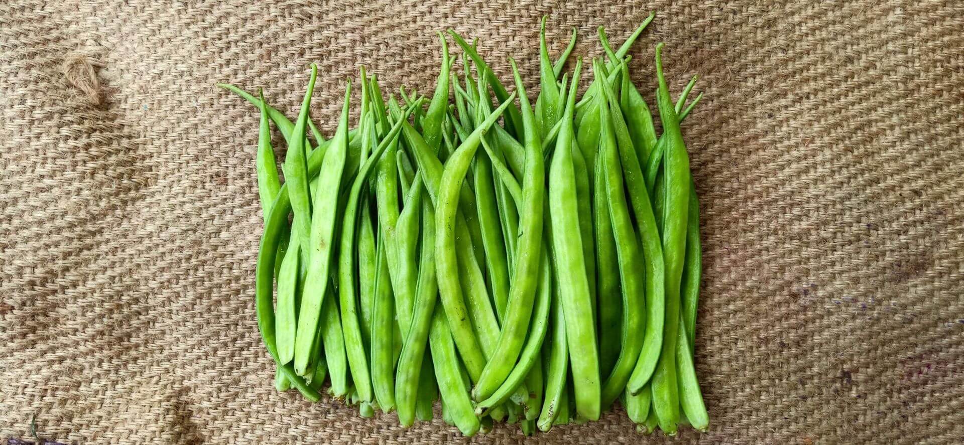 Guar gum for industrial use