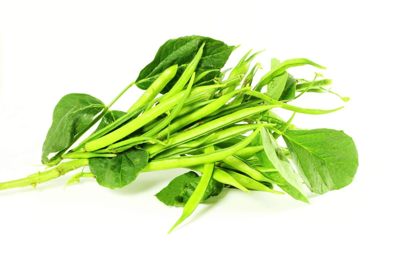 Guar Gum for Industrial use