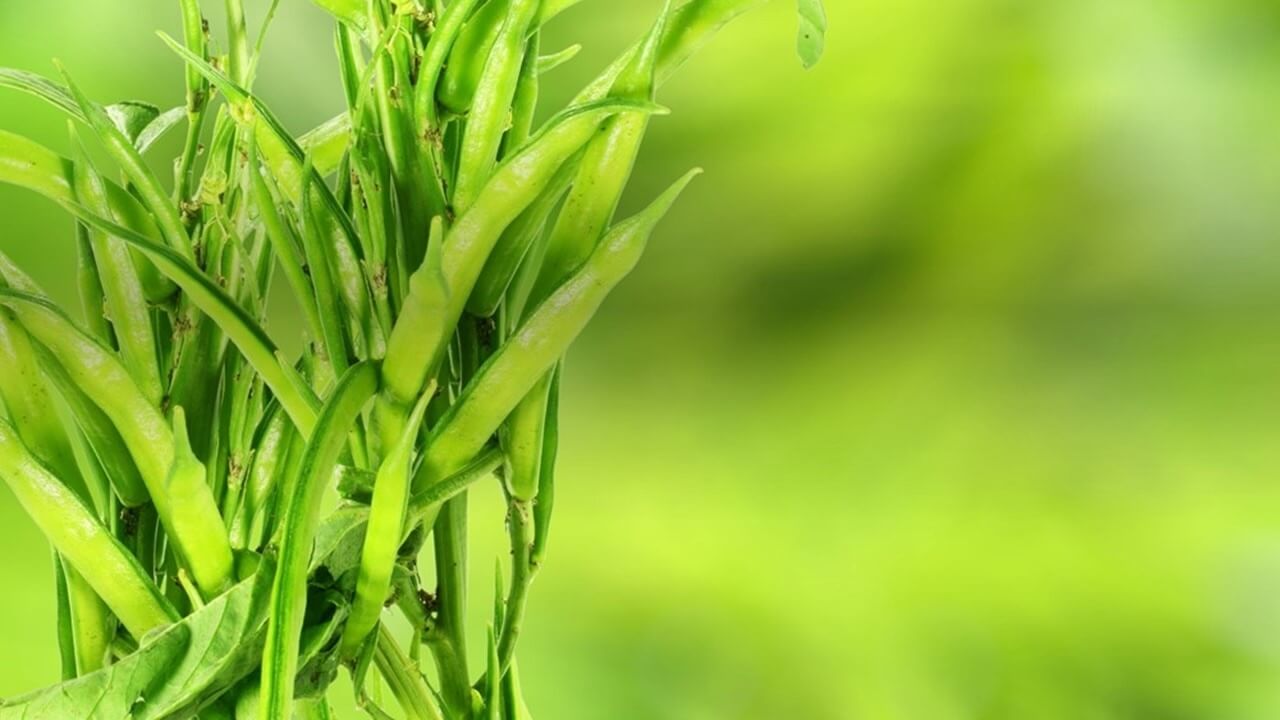 Guar gum for industrial use